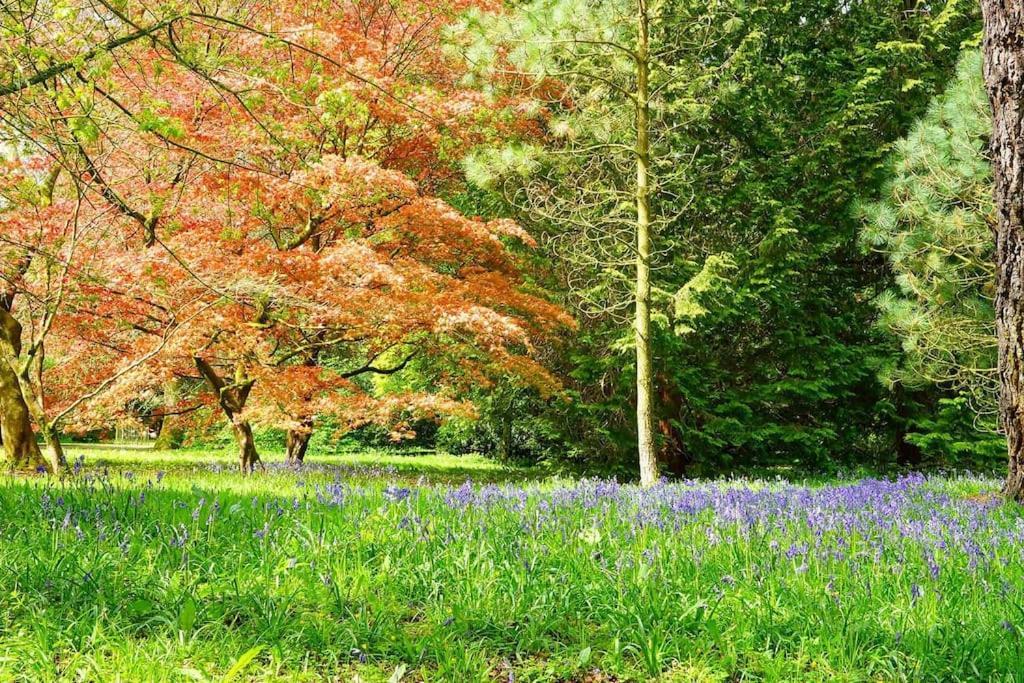 Cotswold Manor House - Country House Retreat With Hot Tub, Ideal For Large Groups Petty France Екстер'єр фото